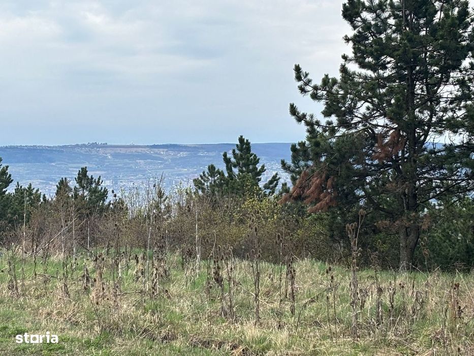 Teren cu panorama/ Dealul Fanatelor-7 km de Auchan