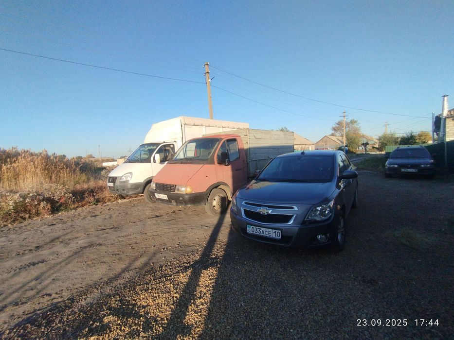 грузоперевозки скотовоз