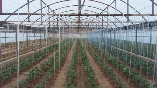 Kanteyner materialdan tom naves stadiyonlar