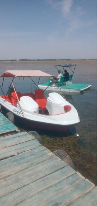 Катер с матором ямаха 85 (двухтактный)