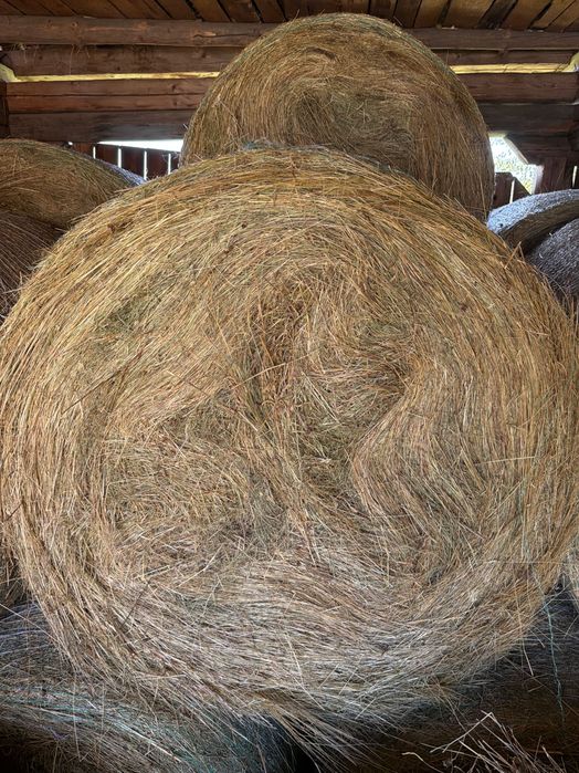 Baloți rotunzi de fân