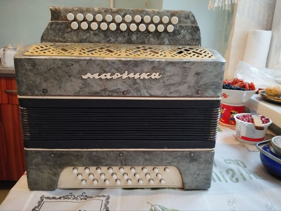 Гармошка Маричка