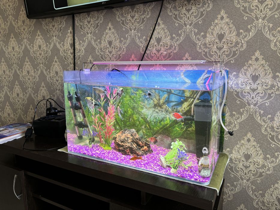 Продается аквариум с рыбками.