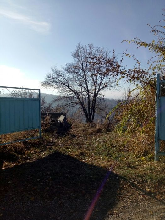 Дача кок лай сай