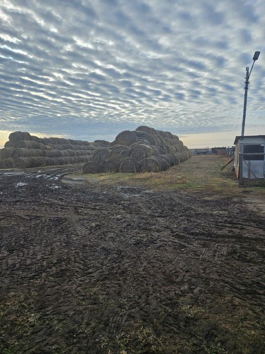 Продам животноводческую базу