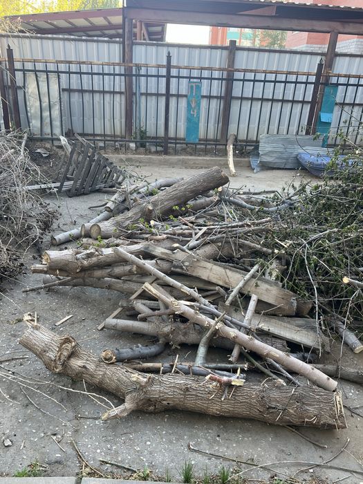 Бесплатно отдам на дрова самовывоз