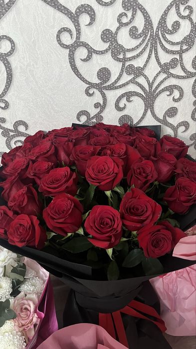 продаю цветы свежие новые