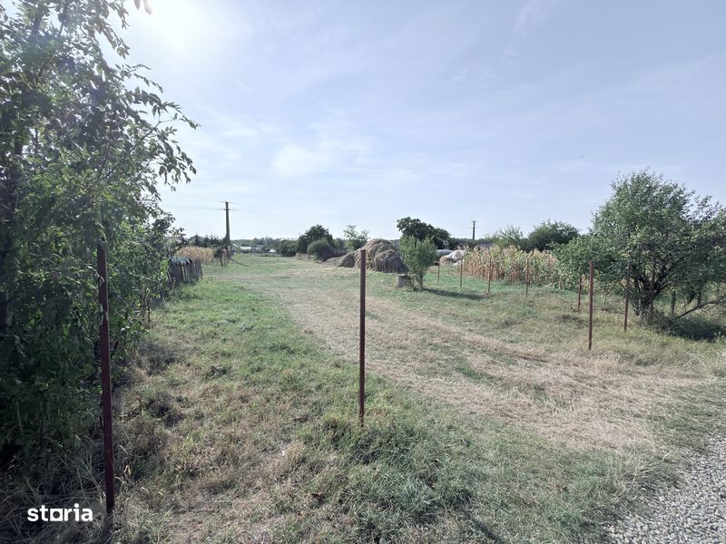 1280mp teren intravilan la Cucorani