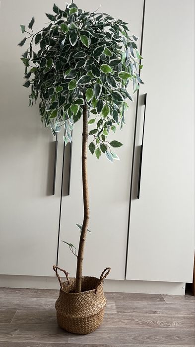 Искусственное дерево (фикус)