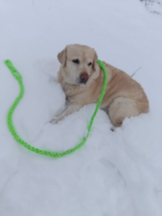 Lesă căței handmade