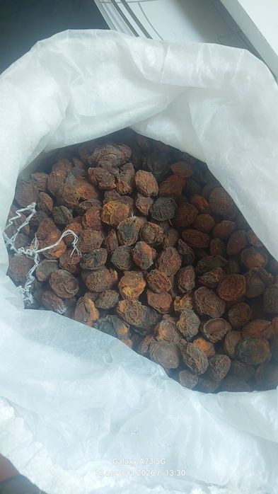 продаю сушеный урюк яблоки сушеные