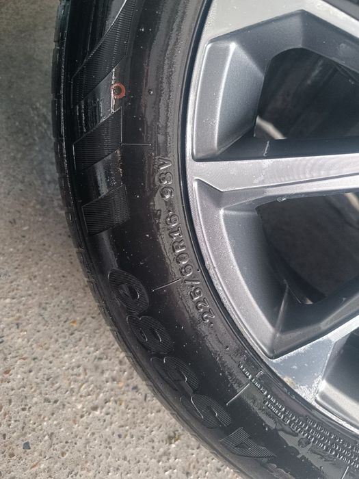 Byd chazor 16 diska balon