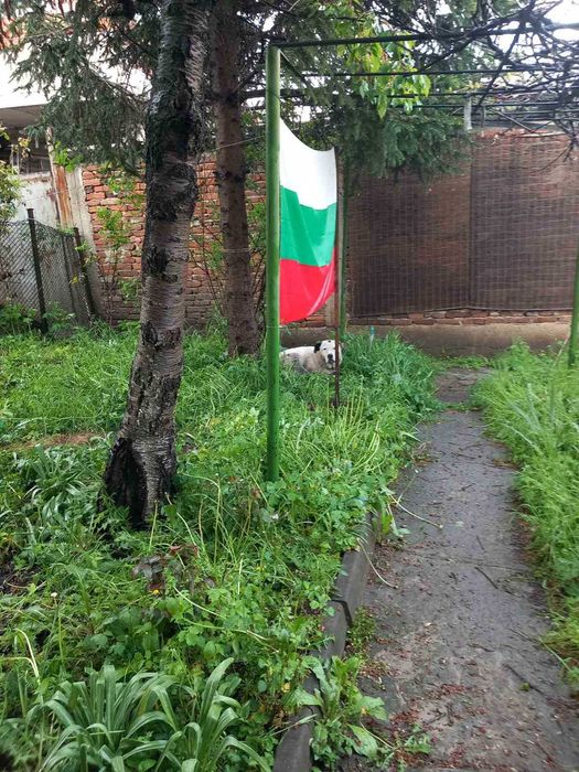 Дава се под наем Етаж от къща в София, 7-ми 11-ти километър - 15 кв.м за 178.5 € - Снимка #1