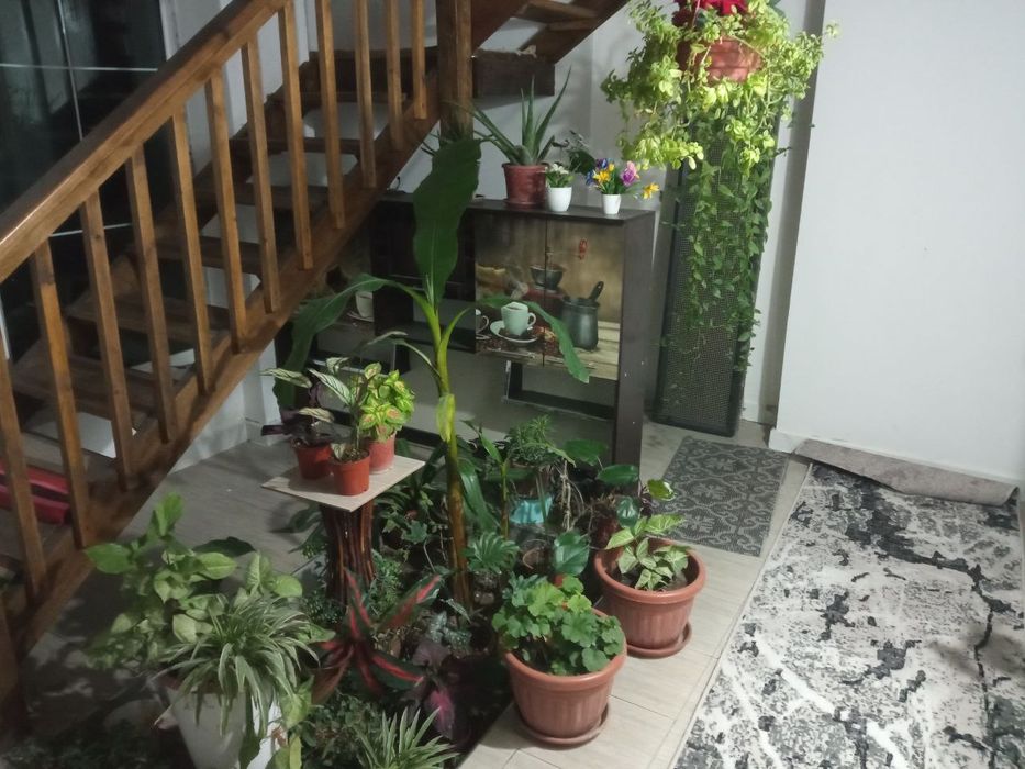 Аренда. Койка места