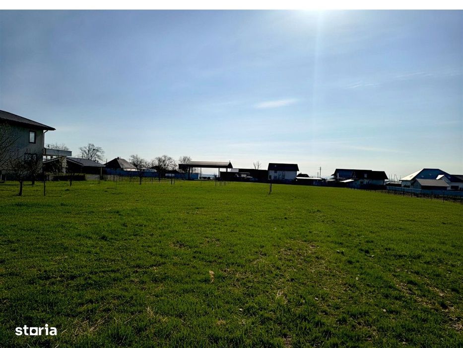 Teren Intravilan Salcea | 72.000 MP | Parcelabil | Investiție Majoră