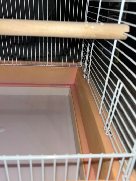 Colivie/Cusca pasari