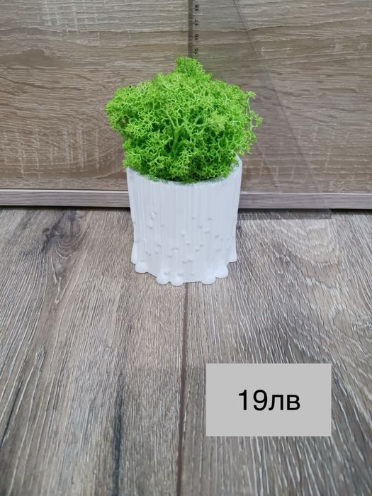 Декоративни кашпи с естествен скандинавски мъх