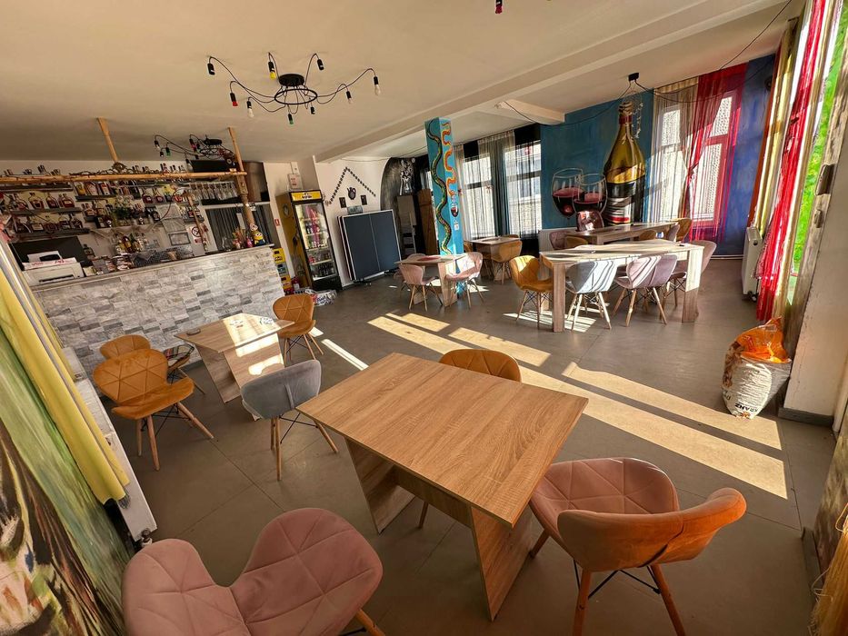 Vilă 9 camere + minibar + 5000 mp teren | Vatra Moldoviței