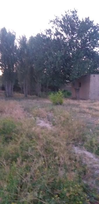 сурочни прадайотса Дом