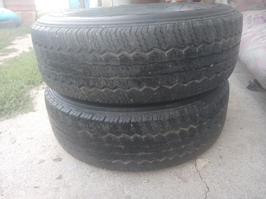Продам два болона