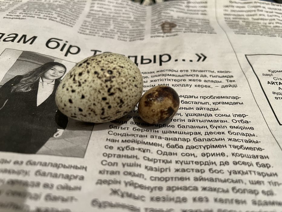 Перепилинные яица