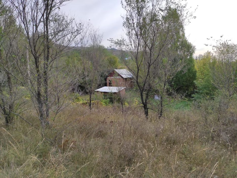 Продам дачу  ВКО Глубоковский район  « Березка»