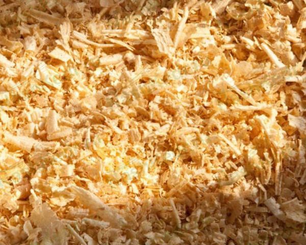 Стружка апилка деревянный