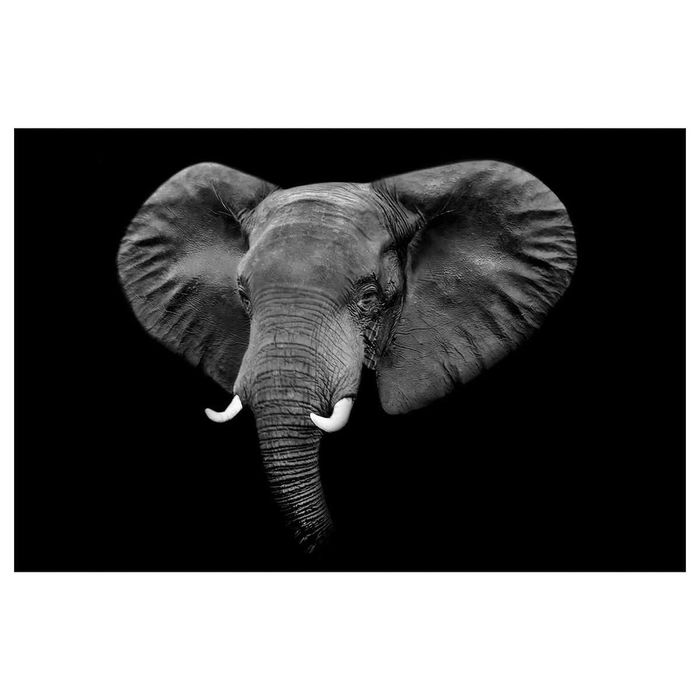 Картина Слон Икеа