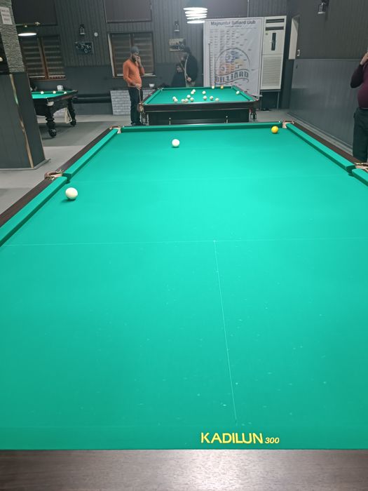 Бильярдный стол профессиональный