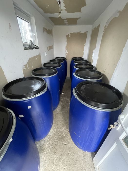 Varza murata soi “De Buzau”