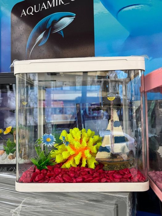 Akvarum va baliq magazin