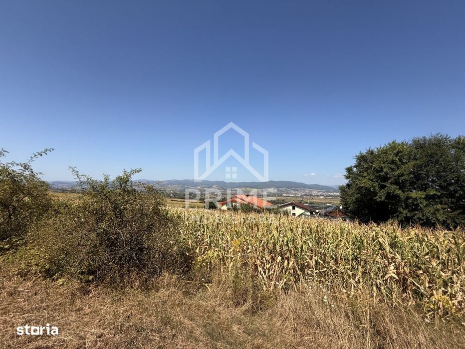 Teren Extravilan Panoramic 460 Mp, Ciugud