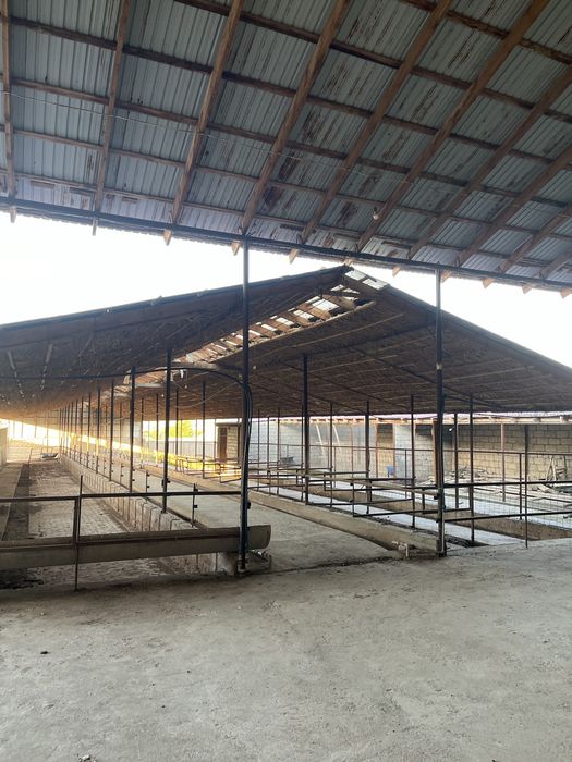 Қора сатылады мкр Акжар