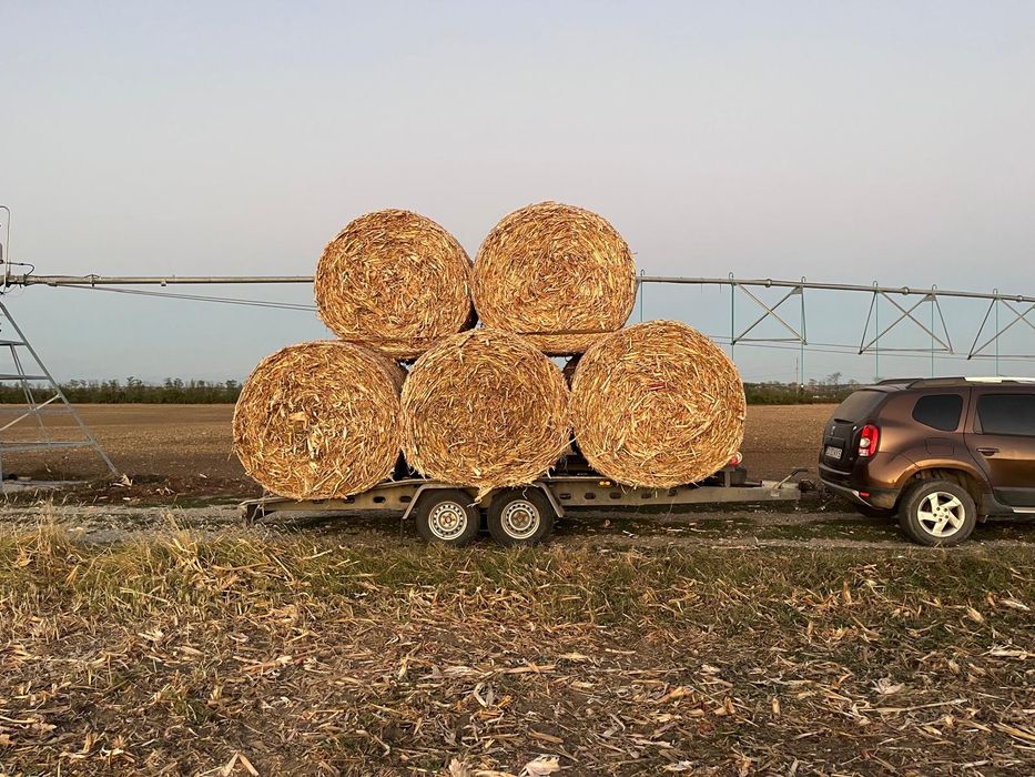 Baloti cocean porunb / paie grâu