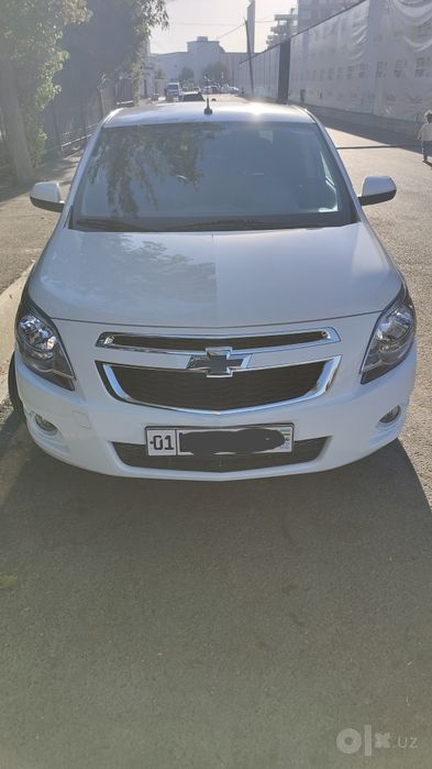 Cobalt 2023 Starline S96