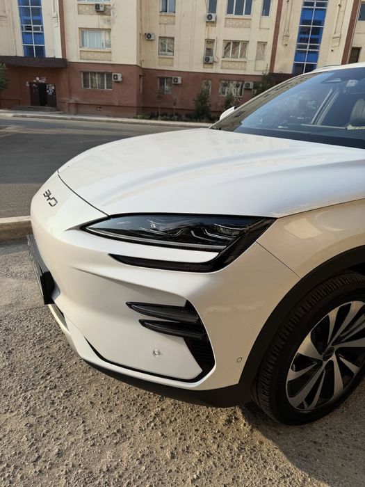 Byd chempion 605