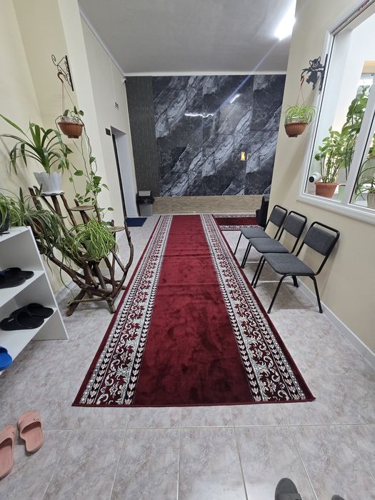 Хостел проживание, аренда 50 мест