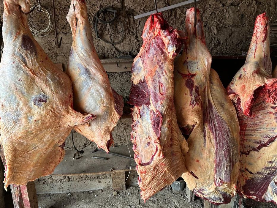 Домашнее мясо говядина