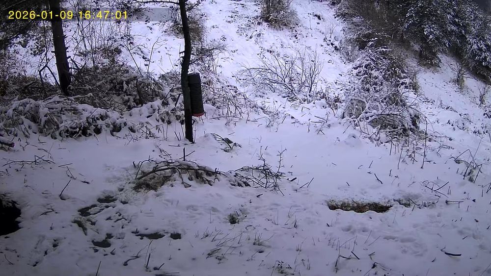 Ловна камера 4G със соларен панел