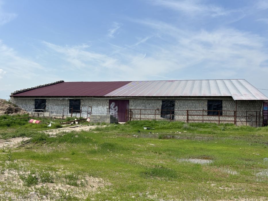 Ferma  ijaraga  joy sharoitlari bor