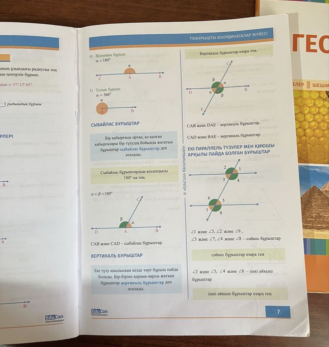Геометрия книги Educon 11класс Ент