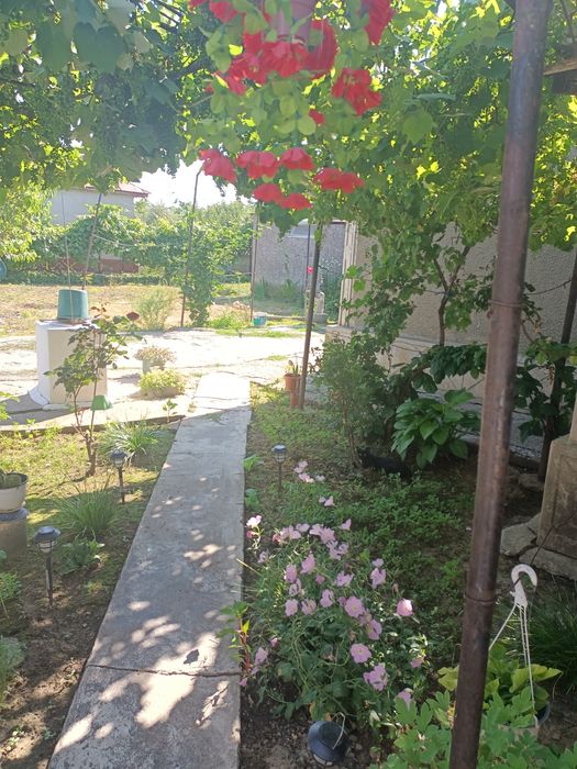 Vând casă comuna Mihail Kogălniceanu