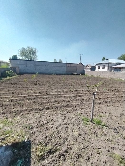 8 so'tih yer sotiladi