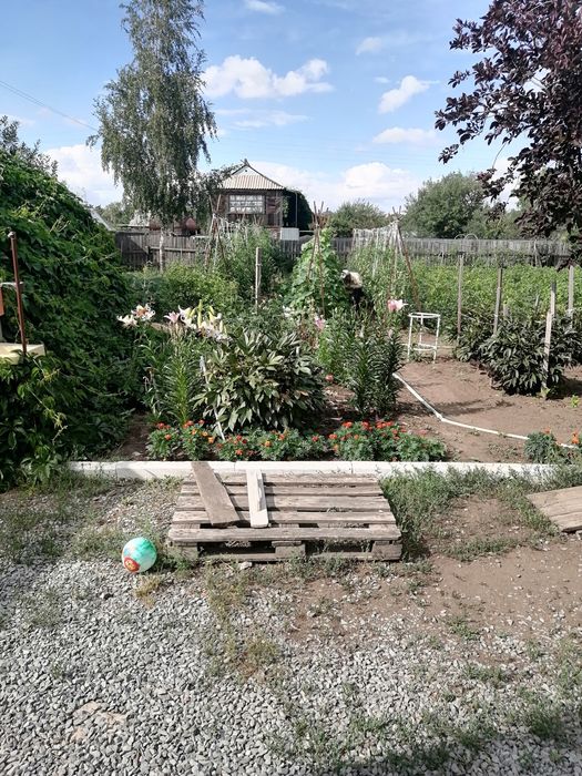 Продам дачу, ПКС "Ромашка" с урожаем
