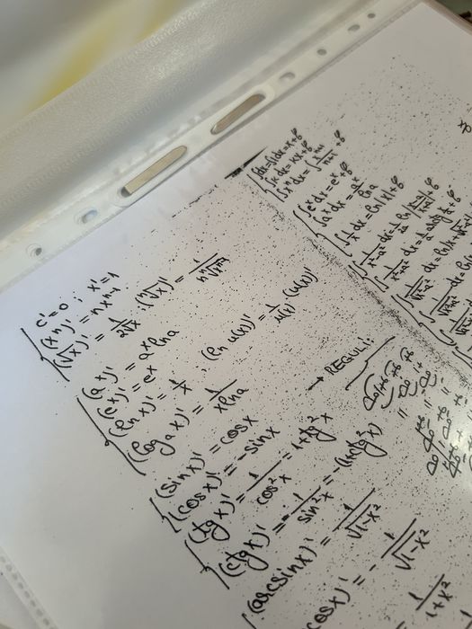 Materiale BAC matematica -M1