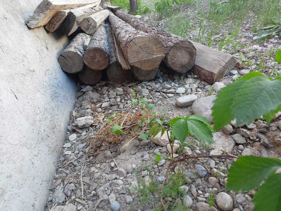 Кругляк сатылады