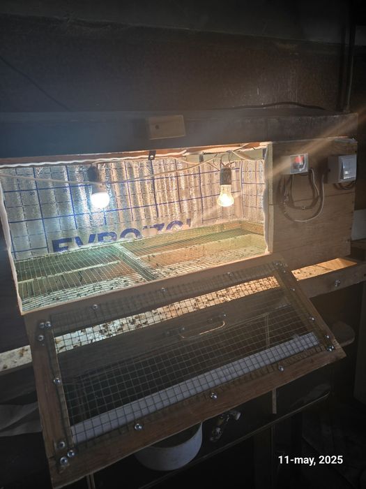 Bruder брудер жужалар учун