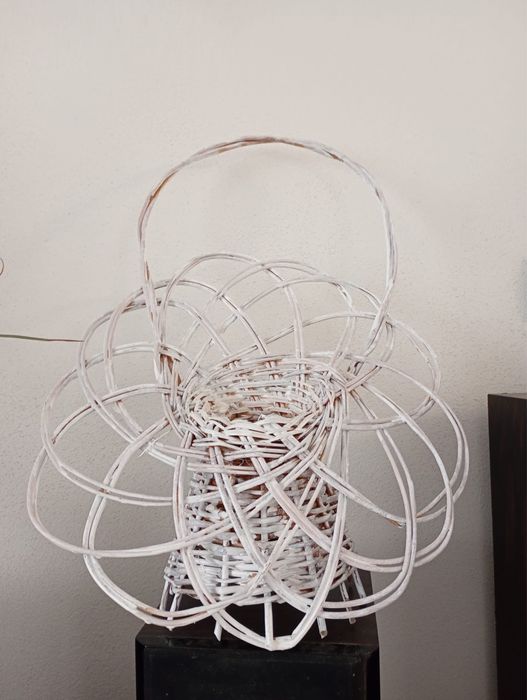 Vand cosuri si vazute din rachita