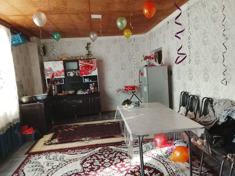 25 сотихли котта ховлимиза сотуга сикти