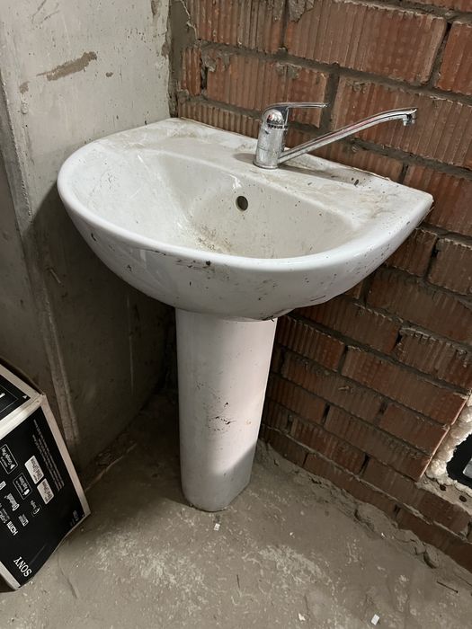 Продам тюльпан